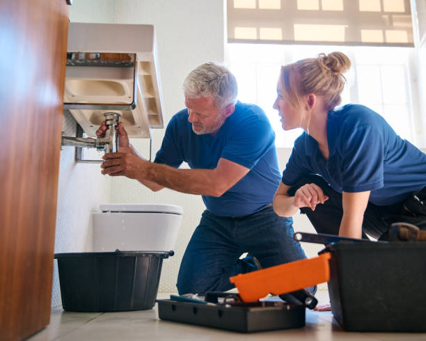 Best Affordable Plumber Near Me  in Mlstadt, IL